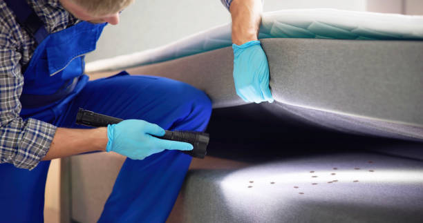 Best Mosquito Control Services  in Buckeystown, MD