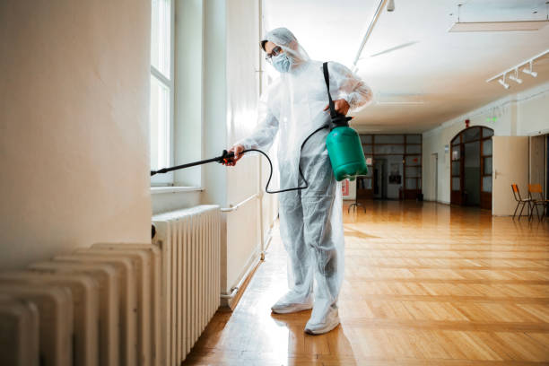 Best Bed Bug Extermination  in Buckeystown, MD